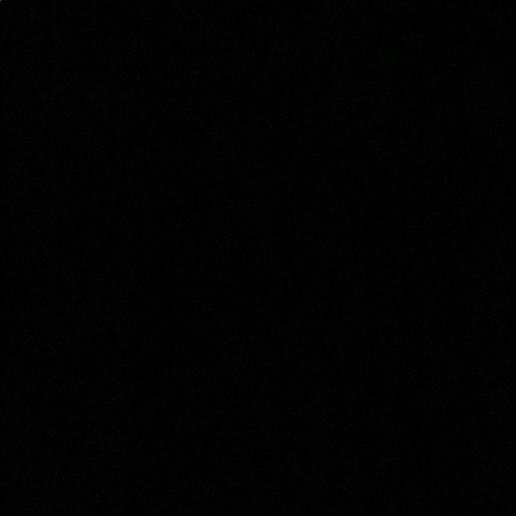 tyler_haycox